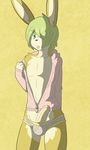  2013 briefs bulge clothing erection exposed green_eyes green_hair hair hoodie lagomorph lotte_(munks) male mammal munks_(artist) penis rabbit solo underwear 