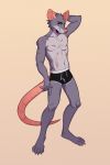  anthro briefs clothed clothing fur hair looking_at_viewer male mammal rat rodent simple_background solo standing takiminada topless underwear 