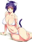  animal_ears arm_support bad_id bad_pixiv_id bikini cat_ears dodai_shouji highleg highleg_bikini highleg_swimsuit highres lying on_side original purple_hair short_hair solo swimsuit tail yellow_eyes 