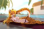  2015 amber_eyes anthro blonde_hair breasts cheetah clothing feline female hair looking_at_viewer lying mammal mihari nipples pool_(disambiguation) scorpdk smile solo spots thong 