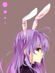  animal_ears bunny_ears kurot long_hair profile purple_hair red_eyes reisen_udongein_inaba solo touhou 