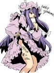  body_writing hermmy patchouli_knowledge sketch skirt skirt_lift solo touhou 