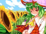  ascot field flower flower_field green_hair head_tilt highres kazami_yuuka nature noirly parasol plaid plaid_vest red_eyes shade short_hair solo sunflower touhou umbrella upper_body vest 