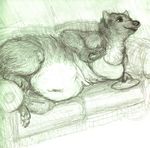  2015 breasts chubby clothed clothing female food half-dressed hindpaw mammal marten midriff mustelid navel oddwilds overweight paws pencil_(artwork) pine_marten sandwich sketch smile sofa solo tongue traditional_media_(artwork) 