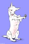  2015 blue_background blush canine denmoko dog eyelashes female feral fur hair_tuft hindpaw licking licking_self mammal multi_nipple nipples pawpads paws saliva simple_background sitting solo tongue tongue_out white_fur 