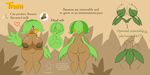  banana_tree bananas big_breasts breasts butt elfdrago female flora_fauna huge_breasts humanoid leaves model_sheet nipples not_furry nude palm_tree plant pussy solo tami tree voluptuous 