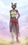  anthro ayumi black_fur breasts canine claws clothed clothing collar female fur green_hair hair half-dressed kin-cishepholf mammal multicolored_fur nipples panties pink_nipples solo topless two_tone_fur underwear wolf yellow_eyes 