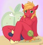  2015 animal_genitalia big_macintosh_(mlp) blonde_hair cutie_mark earth_pony equine friendship_is_magic fur green_eyes hair horse horsecock male mammal my_little_pony penis pony precum red_fur semi-anthro skoon solo 