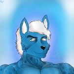  blu_edward blue_fur canine fur hair looking_at_viewer male mammal muscles ryu+ white_hair 