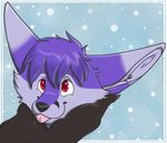  canine floopysnow fox fur kitsueclover mammal purple_fur quil red_eyes smile squish tongue 