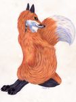  canine fox invalid_color invalid_tag karja male mammal 