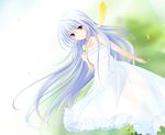  dress flower gatakenjin grisaia_(series) grisaia_no_rakuen holding holding_flower kazami_kazuki long_hair outdoors purple_eyes silver_hair smile solo sundress white_dress 