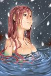  breasts brown_hair large_breasts long_hair monster_girl original recube scales solo water wet 