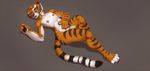  anthro dreamworks feline female gorsh_dolderan kung_fu_panda lying mammal master_tigress simple_background solo tiger 