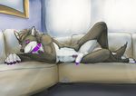  2015 anthro balls brown_fur canine collar ear_piercing fur labbedog lying male mammal nude on_side penis piercing purple_eyes purple_penis sheath sofa solo 