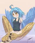  animal_feet avian blue_hair bottomless breasts clitoris clothed clothing feathers feet female foot_fetish footjob hair half-dressed half_human harpy human kamperkiller_(artist) male mammal monster_musume papi_(monster_musume) penis pussy small_breasts talons 