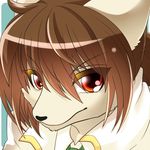  brown_hair canine dog ehime_mikan fur hair kemono mammal red_eyes white_fur 