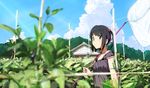  bad_id bad_pixiv_id black_eyes black_hair blurry butterfly_net cloud day depth_of_field domo1220 dress forest garden hair_bobbles hair_ornament hand_net house looking_at_viewer nature original short_hair sky solo twintails 