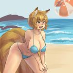  animal_ears ass beach bikini blonde_hair blue_sky blush breasts brown_eyes chanta_(ayatakaoisii) collarbone day eyebrows eyebrows_visible_through_hair fox_ears fox_tail hips large_breasts multiple_tails navel ocean outdoors short_hair silhouette sky solo swimsuit tail thighs touhou volleyball yakumo_ran 