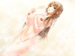  bath breasts brown_hair copyright_request female game_cg gradient gradient_background isse large_breasts long_hair nude shower solo steam 