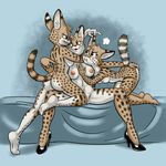  angry anthro barefoot big_butt breasts brown_eyes butt carelessdoodler convenient_censorship eyelashes feline female group high_heels kneeling mammal nipples nude serval side_boob sitting smile spread_legs spreading steam 
