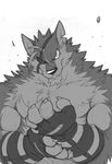  anthro biceps big_muscles canine chest_tuft eye_patch eyewear fluffy fur greyscale grin looking_at_viewer male mammal monochrome muscles pecs solo takemoto_arashi tuft wolf 