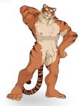  abs amit anthro balls biceps claws feline flaccid fluffy fur green_eyes hair hand_behind_head long_foreskin male mammal muscles nipples nude orange_fur pecs penis pubes smile solo standing stripes tiger toe_claws toned uncut white_fur yellow_eyes 