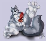  &lt;3 4_toes animal_genitalia anthro balls barefoot big_penis canine canine_penis claws cum cum_on_chest cum_on_feet cum_on_penis cum_on_self cum_on_stomach cum_on_tail foot_fetish foot_focus fur grey_fur hindpaw humanoid_feet knot looking_at_viewer lying male mammal markings paws penis presenting smile socks_(marking) soles solo sydneysnake2 toe_claws toes white_claws wolf wolfblade 