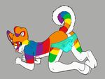  canine clear_panties clothing dog fur husky looking_at_viewer male mammal nelliefolf one_eye_closed panties rainbow_fur solo underwear wink 