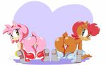  2015 amy_rose anthro big_breasts breasts butt chipmunk cloudz duo female hedgehog mammal pussy rodent sally_acorn sonic_(series) 