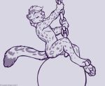  4_toes anthro biped blep chain curiodraco digitigrade dipstick_tail eyebrows feline fur hair humanoid_hands leopard looking_at_viewer male mammal mars_(thequeenofmars) multicolored_tail naughty_face nude simple_background snow_leopard spots spotted_fur toes tongue tongue_out wrecking_ball 