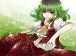  ascot bad_id bad_pixiv_id flower geike green_hair grin kazami_yuuka plaid plaid_skirt plaid_vest red_eyes short_hair skirt skirt_set smile smirk solo touhou vest 