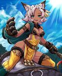  animal_ears bad_id bad_pixiv_id blue_eyes blush breasts cat_ears cleavage dark_skin erune flower gloves granblue_fantasy hair_flower hair_ornament hoshitetsu_ringo looking_at_viewer melleau open_mouth paw_gloves paws short_hair silver_hair small_breasts smile solo thighhighs 