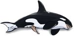  animal_genitalia cetacean convicted-clown feral genital_slit male mammal marine orca penis slit tagme tapering_penis whale 