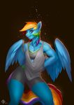 anthro clothing eosphorite equine female friendship_is_magic hair horse looking_at_viewer mammal multicolored_hair muscles muscular_female my_little_pony pegasus rainbow_dash_(mlp) smile solo tight_clothing wings 