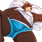  anthro balls bear bearlovestiger13 biceps big_muscles big_penis black_eyes black_nose brown_fur bulge chest_tuft claws clothing crossed_arms digital_media_(artwork) fundoshi fur grizzly_bear juuichi_mikazuki locker_room looking_at_viewer male mammal morenatsu muscles penis pose shirt smile solo tuft underwear 