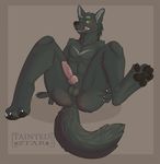  abs anthro anus balls barefoot butt canine claws erection fur knot looking_at_viewer male mammal muscles navel nude pawpads paws pecs penis presenting presenting_hindquarters sharp_teeth sitting solo spread_legs spreading taintedstar teeth toe_claws tongue tongue_out vein veiny_penis wolf 