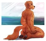  2015 anthro anus balls butt canine claws dog faronir fur golden_retriever male mammal pawpads paws smile solo tongue tongue_out 