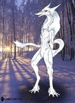  2013 anthro black_fur capricorn92 claws female flat_chested fur hair half-closed_eyes long_hair markings navel nude ophelia outside pointy_ears red_eyes sergal slit_pupils smile snow solo sun toe_claws tree tuft white_fur white_hair 