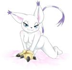  :3 all_fours breasts cat catfuk123 digimon feline female gatomon half-closed_eyes looking_at_viewer mammal pose pussy solo 