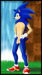  2006 agro_antirrhopus balls clothing footwear gloves green_eyes male penis shoes solo sonic_(series) sonic_the_hedgehog uncut 