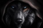  ambiguous_gender black_nose blue_eyes canine cape clothing detailed digital_media_(artwork) feathers fur grey_fur headshot_portrait hi_res looking_at_viewer mammal plain_blackground portrait solo were werewolf wolfroad 