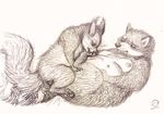  2015 breasts eyes_closed female feral feral_on_feral lying male male/female mammal oddwilds on_back overweight penetration raccoon rodent sex sketch squirrel 