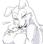  anthro breasts canine colleen collie dog drawing female looking_at_viewer mammal penis road_rovers rough_collie solo sudako888 