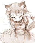  animal_ears ario arms_behind_back braid cat_ears cat_tail dress frilled_dress frills kaenbyou_rin long_hair long_sleeves monochrome multiple_tails nekomata puffy_long_sleeves puffy_sleeves sepia simple_background solo sweat tail touhou twin_braids two_tails white_background 