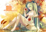  apple aqua_eyes aqua_hair autumn_leaves baisi_shaonian bare_arms barefoot collarbone dress english food from_side fruit full_body grass hair_ribbon hatsune_miku highres holding holding_food holding_fruit leaf legs long_hair looking_at_viewer maple_leaf nail_polish outdoors parted_lips ribbon scenery sideways_glance sitting sleeveless sleeveless_dress smile solo sundress toenail_polish tree_branch very_long_hair vocaloid white_dress 