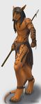  2015 anthro bodypaint claws clothed clothing digital_media_(artwork) digitigrade feathers holding_weapon hyndrim lizard loincloth male melee_weapon orange_skin pinup polearm pose reptile scalie simple_background solo spear standing toe_claws tokaido toned tribal weapon white_background wristband 