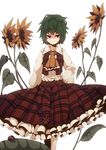  ascot bad_id bad_pixiv_id bug flower fuurin_(omaemona) green_hair insect kazami_yuuka ladybug plaid plaid_skirt plaid_vest red_eyes shaded_face short_hair skirt skirt_set solo sunflower touhou vest white_background 