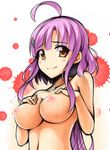  ahoge blush breasts brown_eyes cleavage gakkou_gurashi! hair_ornament hairclip highres kirisame_mia large_breasts long_hair nipples nude purple_hair sakura_megumi smile solo topless very_long_hair 