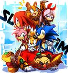  badger bandicoot canine dr._eggman echidna fox hedgehog human knuckles_the_echidna mammal marsupial miles_prower monotreme mustelid perci_the_bandicoot sonic_(series) sonic_boom sonic_the_hedgehog sticks_the_jungle_badger 
